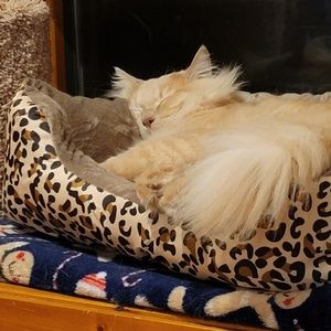 Meet your Posher, Kelly